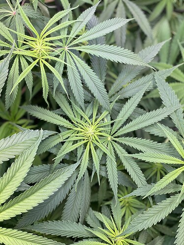 Growreport Bild 14