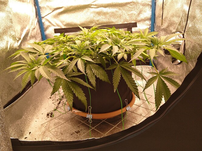 657398a4575bee4cf36b27773f335f538eef222e_2_1332x1000