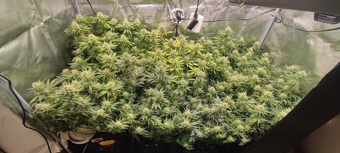 Growreport Bild 23