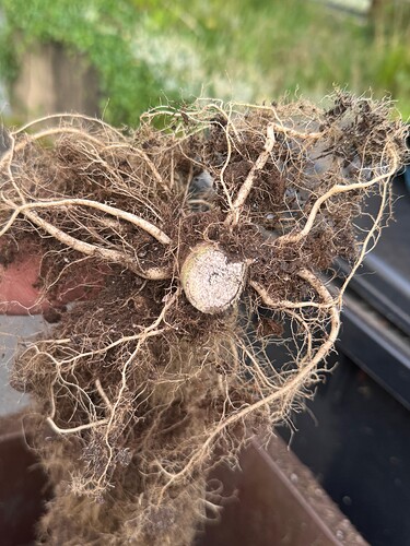 Growreport Bild 16
