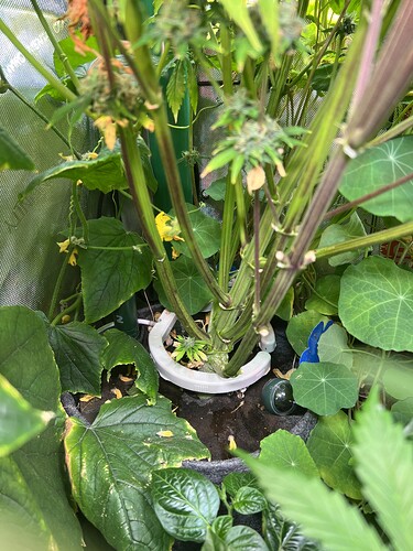 Growreport Bild 13