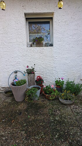 Growreport Bild 3