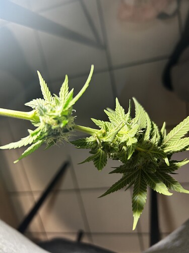 Growreport Bild 11