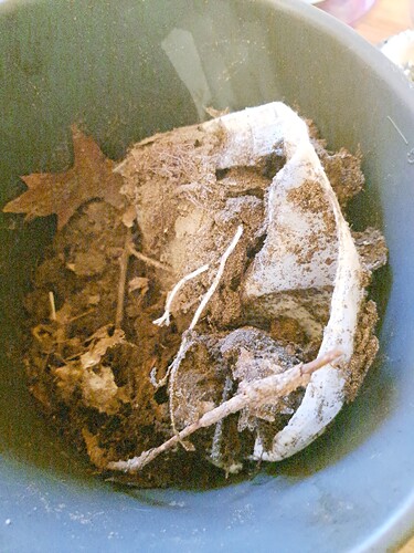 Growreport Bild 12