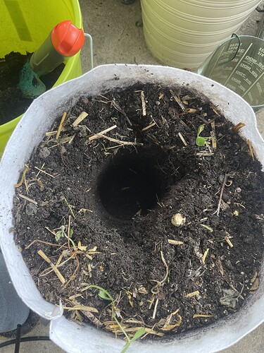Growreport Bild 1