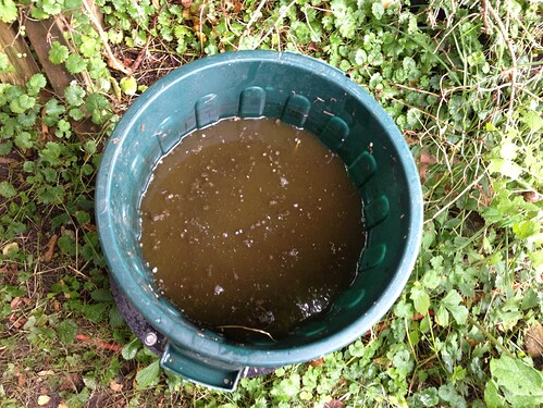 Growreport Bild 19
