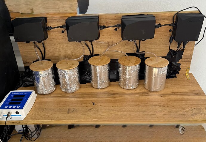 Growreport Bild 4