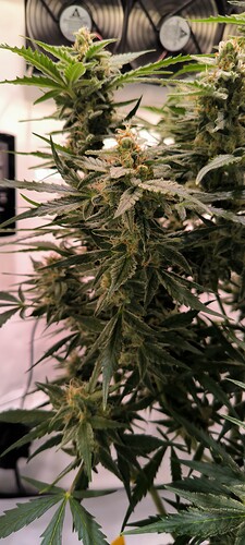 Growreport Bild 23