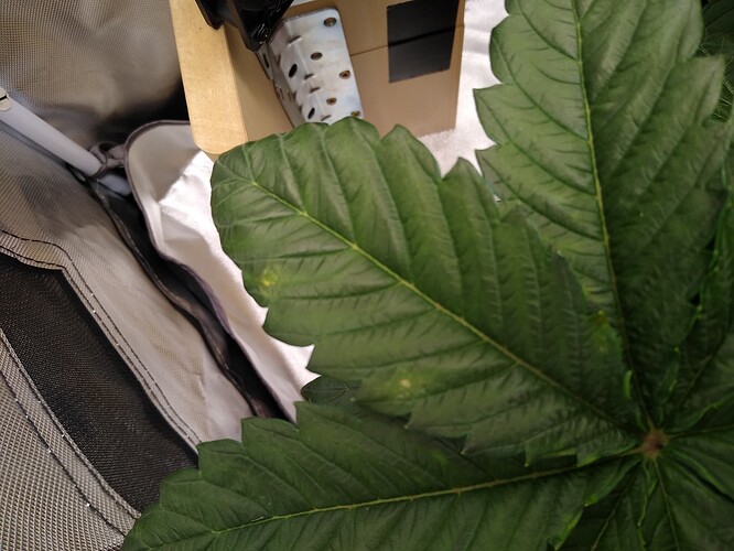 IMG_20240506_155808031