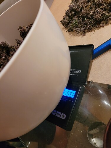 Growreport Bild 21