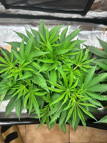 Growreport Bild 13