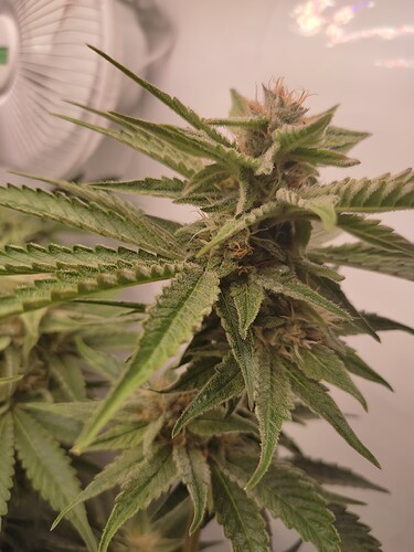 Growreport Bild 13