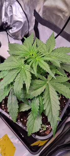 WhatsApp Image 2025-12-08 at 18.13.07 (3)