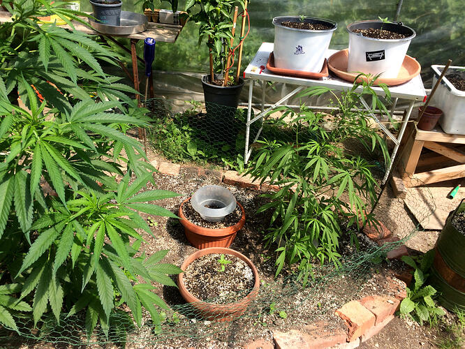 Grow26_0721_1