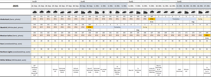 Growreport Bild 13
