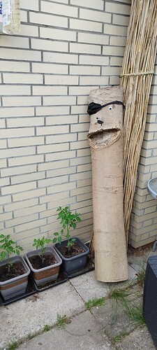 IMG_20240526_195053