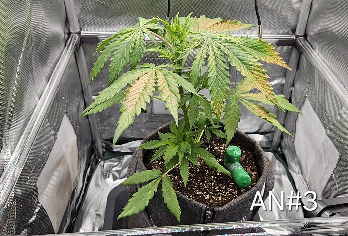 Growreport Bild 15