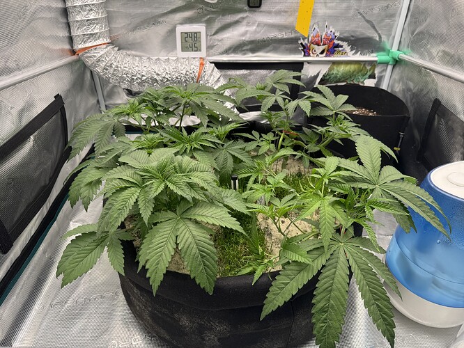 Growreport Bild 1