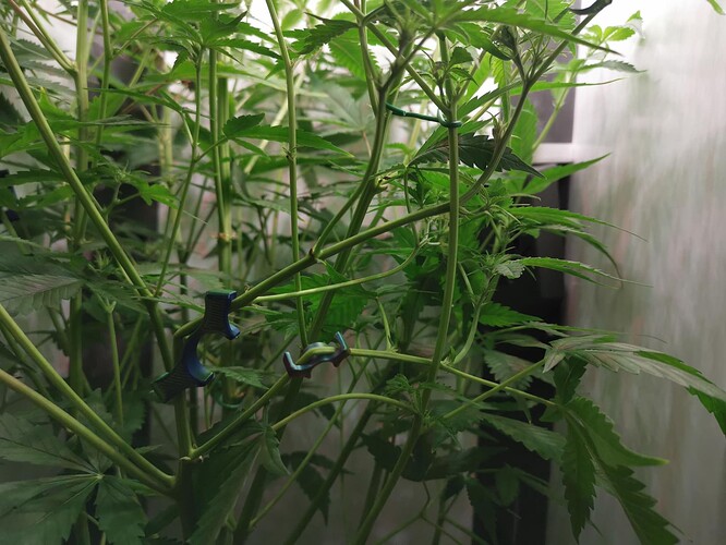 Growreport Bild 18