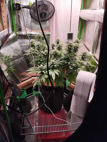 Growreport Bild 8
