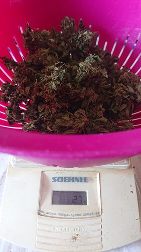 Growreport Bild 43