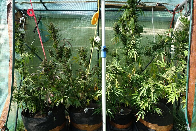 Growreport Bild 8