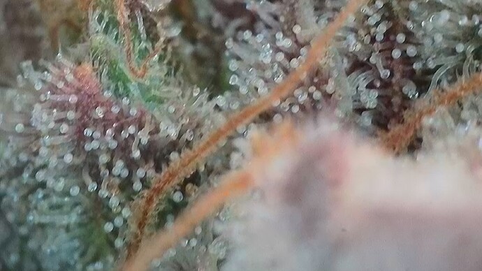 Growreport Bild 9