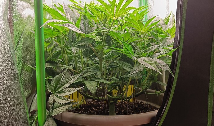 Growreport Bild 2