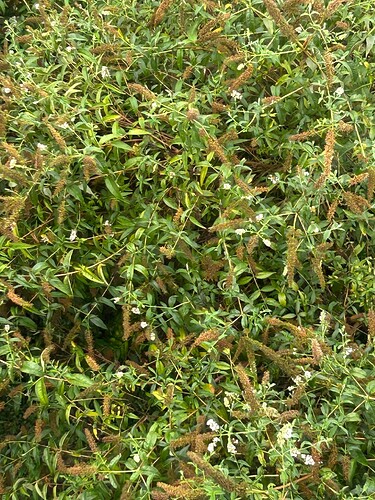Growreport Bild 13