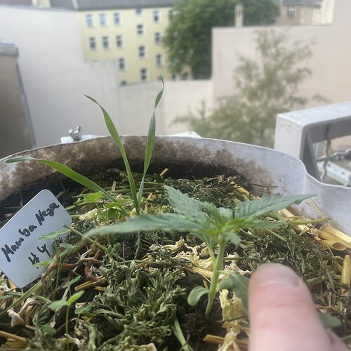 Growreport Bild 10