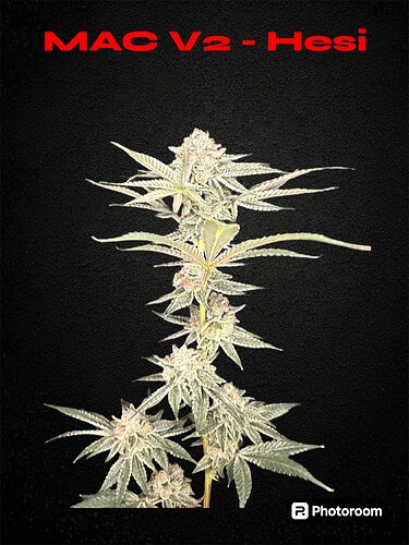 Growreport Bild 2
