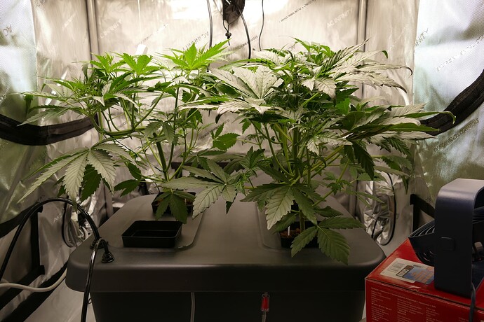 Growreport Bild 7