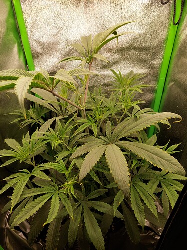 Growreport Bild 7