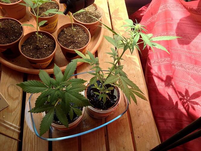 Grow25_0524_01