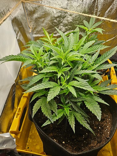 Growreport Bild 20