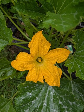 Growreport Bild 24