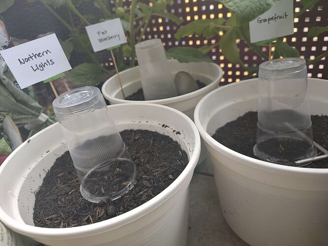 Growreport Bild 17