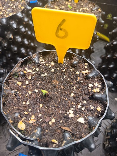 Growreport Bild 22