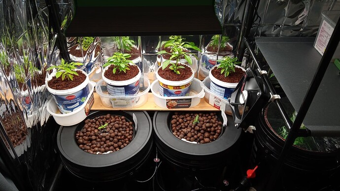 Growreport Bild 12