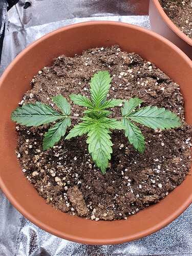 WhatsApp Image 2024-04-26 at 12.03.14 (1)