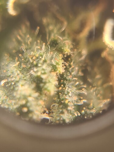 Growreport Bild 16