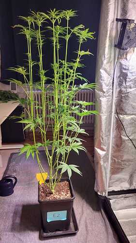 Growreport Bild 11