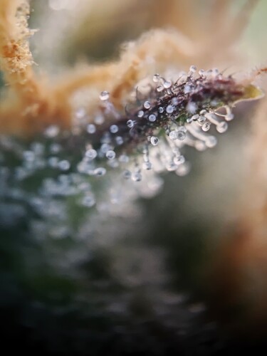 MVIMG_20251114_160253