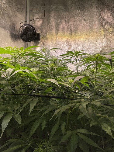 Growreport Bild 15