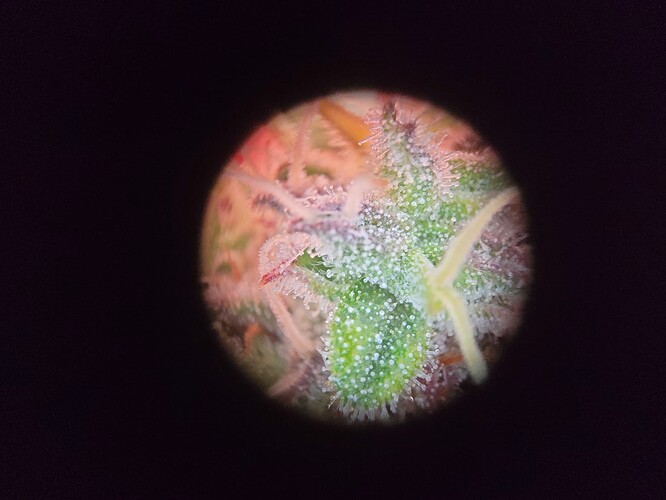 Growreport Bild 11