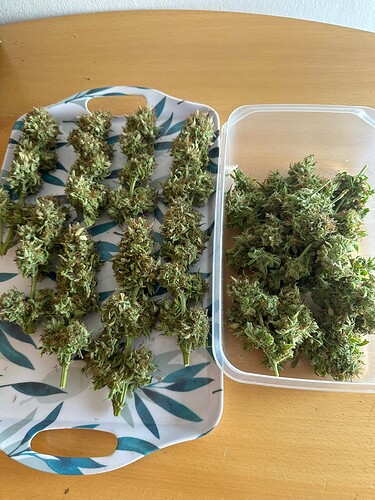 Growreport Bild 3