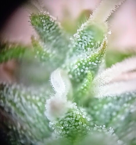 20250126_115738_exported_9966~2