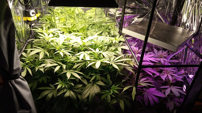 Growreport Bild 9