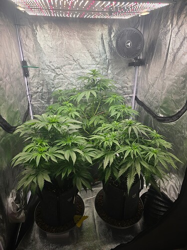 Growreport Bild 1