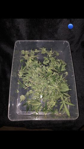 Growreport Bild 26